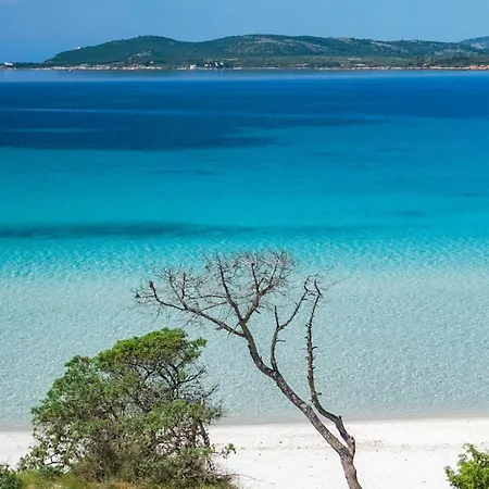 Apartmán Sweet Hospitality - L Simon26 Alghero